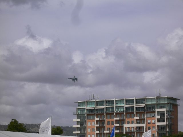 P1060817.jpg