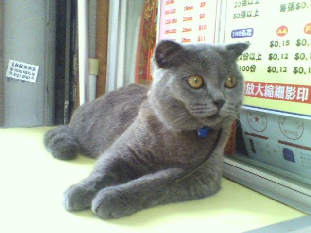 P18-05-07_14.02.jpg