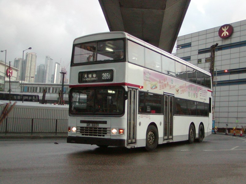 P1010028.jpg