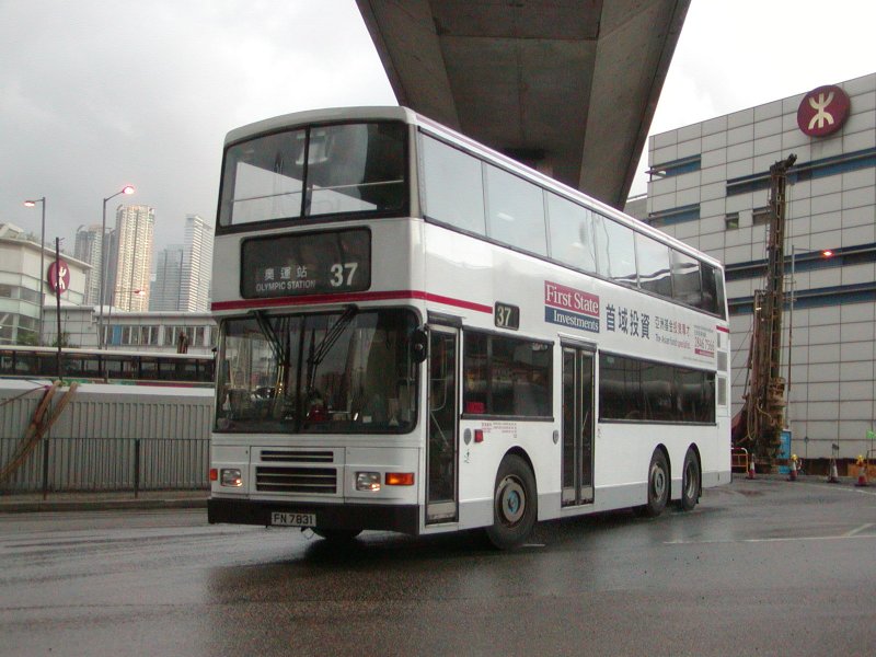 P1010024.jpg