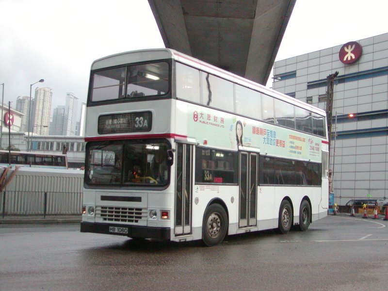 P1010029.jpg