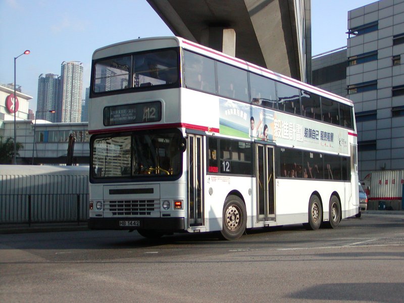 P1010004.jpg