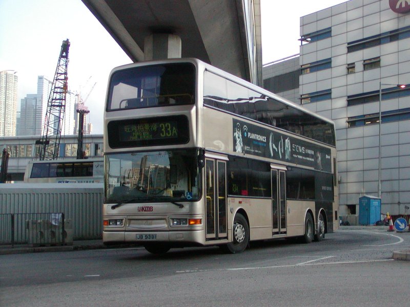 P1010009.jpg
