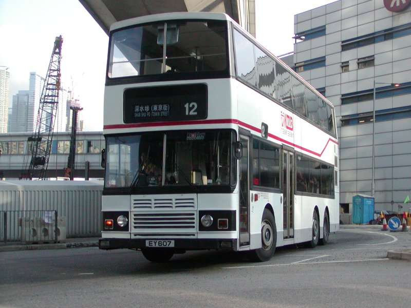 P1010007.jpg