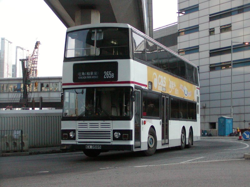 P1010013.jpg