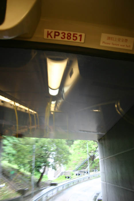8369.jpg