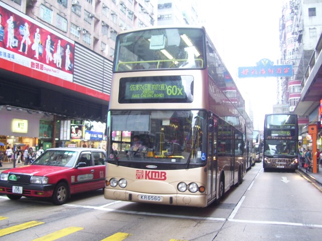 AMN40-01.JPG