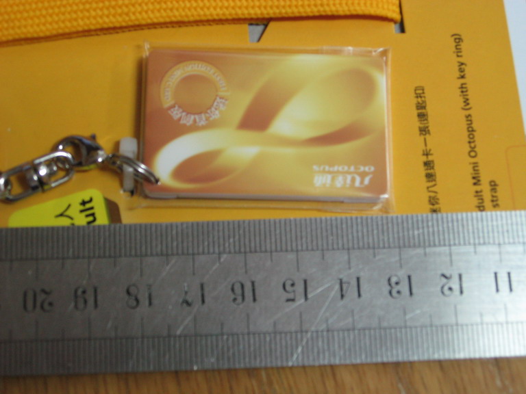 IMG_0549_resize.JPG