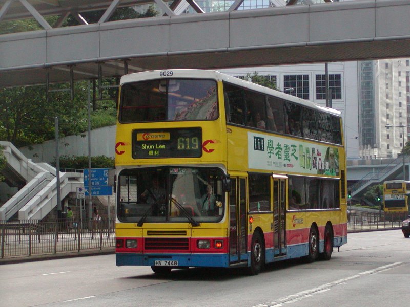 P1010028.jpg