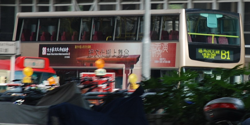 DSC_2560.jpg