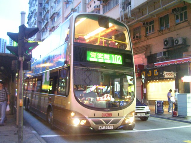AVBW8-3.JPG