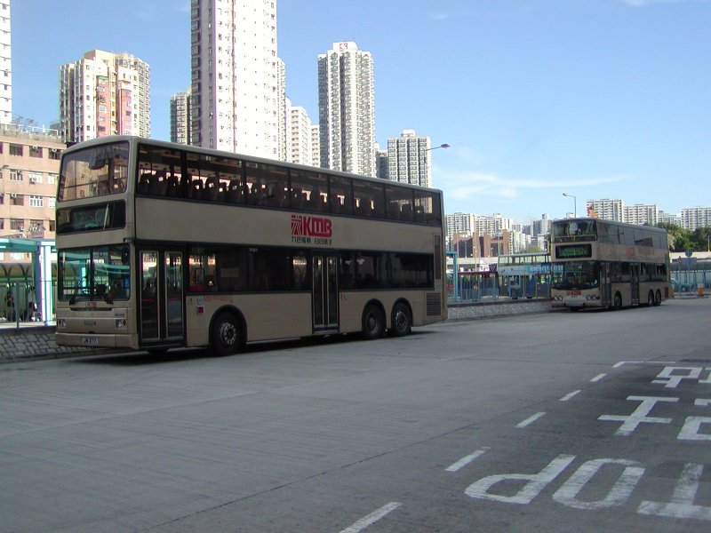 P1010021.jpg