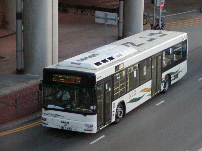P1010053.jpg