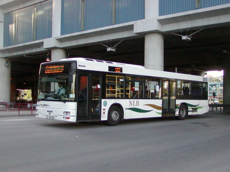 P1010043.jpg