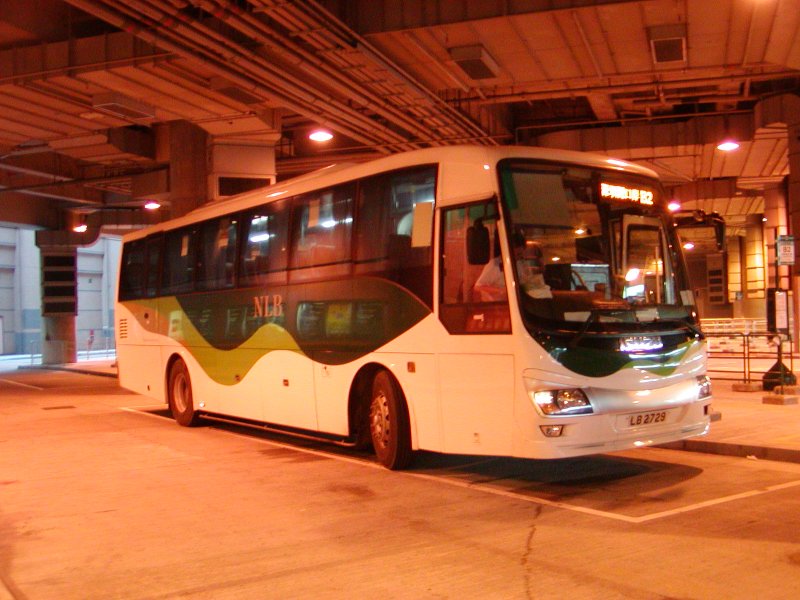 P1010065.jpg