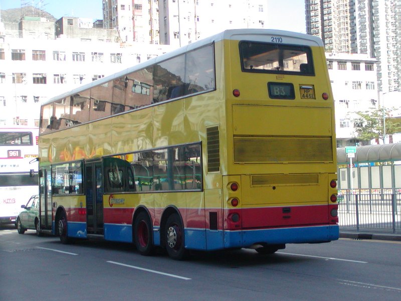 P1010003.jpg