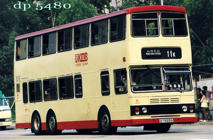 DT5556pp.jpg