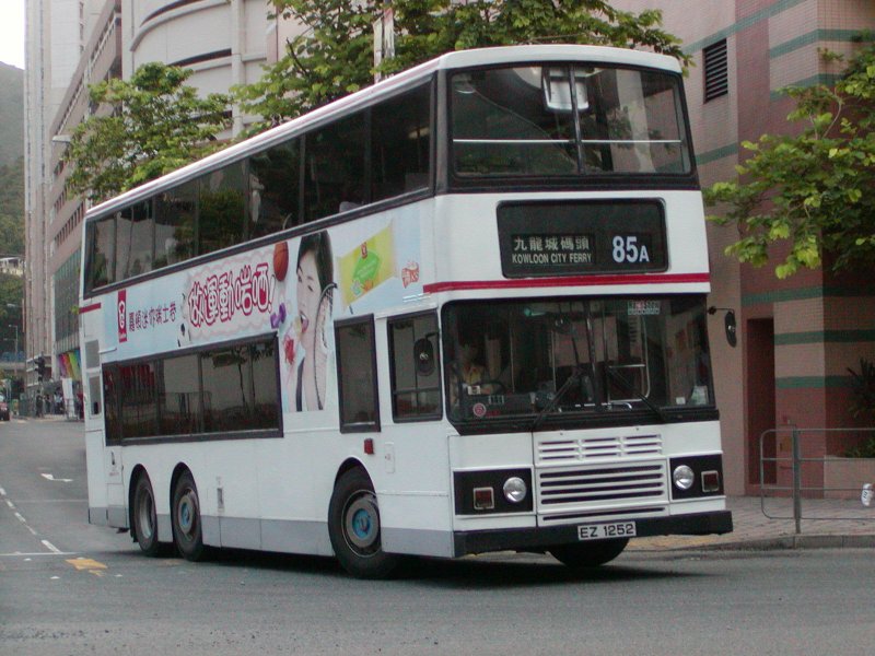 P1010013.jpg