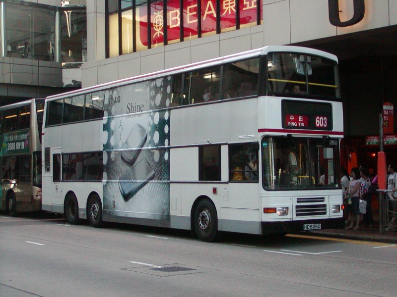 P1010088.jpg