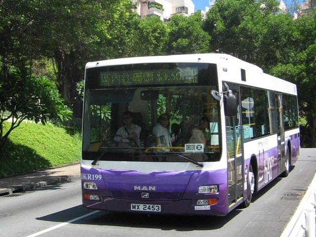 img_6345B.jpg