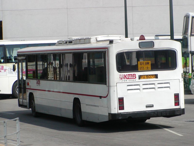 P1010009.jpg