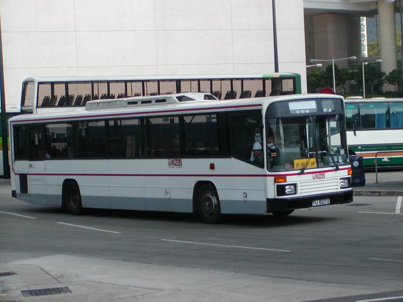 P1010034.jpg