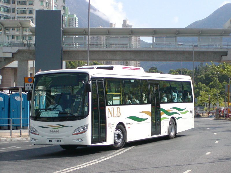 P1010004.jpg