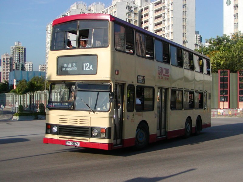P1010055.jpg