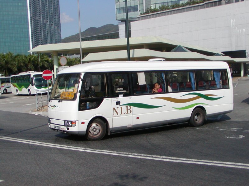 P1010049.jpg