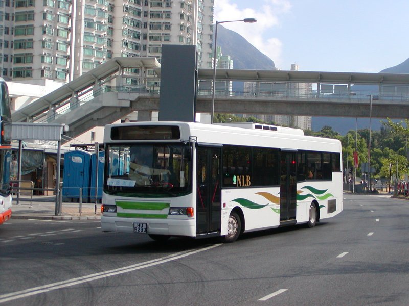 P1010033.jpg