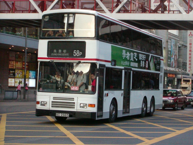 P1010039.jpg
