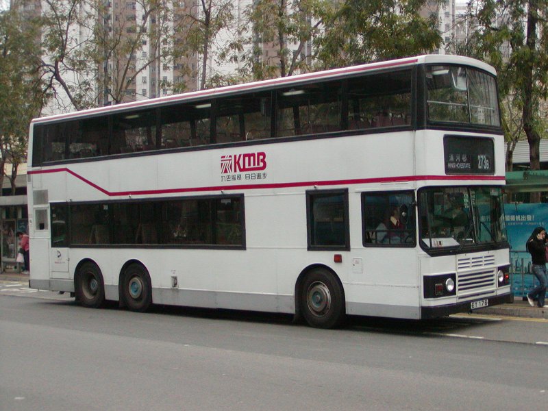 P1010031.jpg