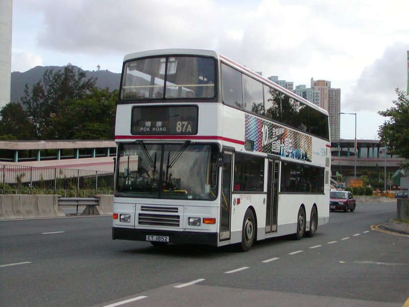 P1010008.jpg
