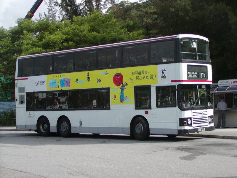 P1010001.jpg