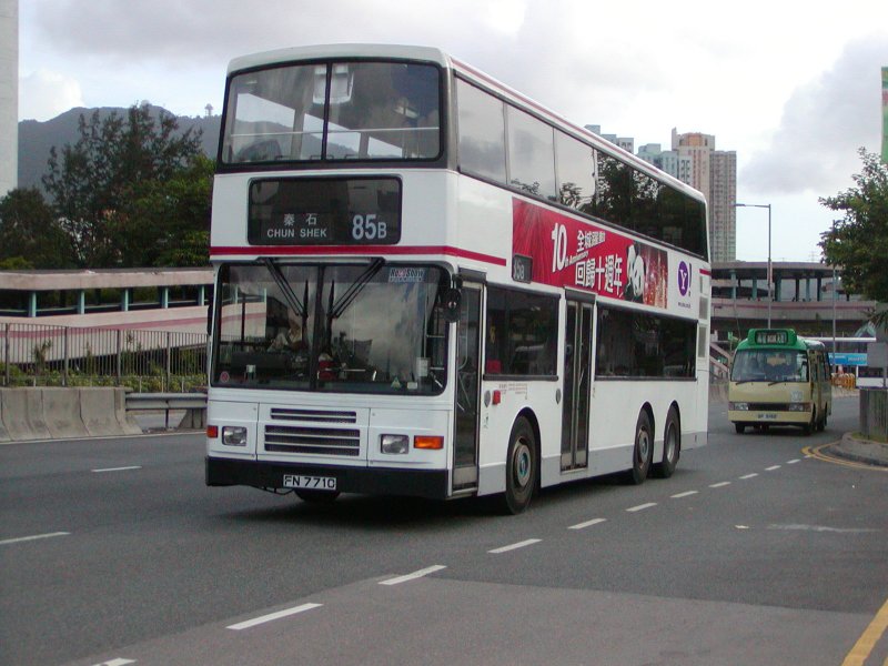 P1010009.jpg