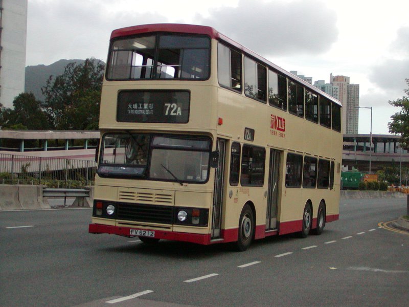 P1010018.jpg