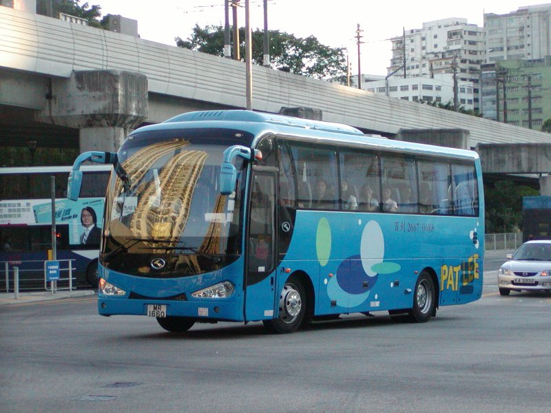 P1010007.jpg