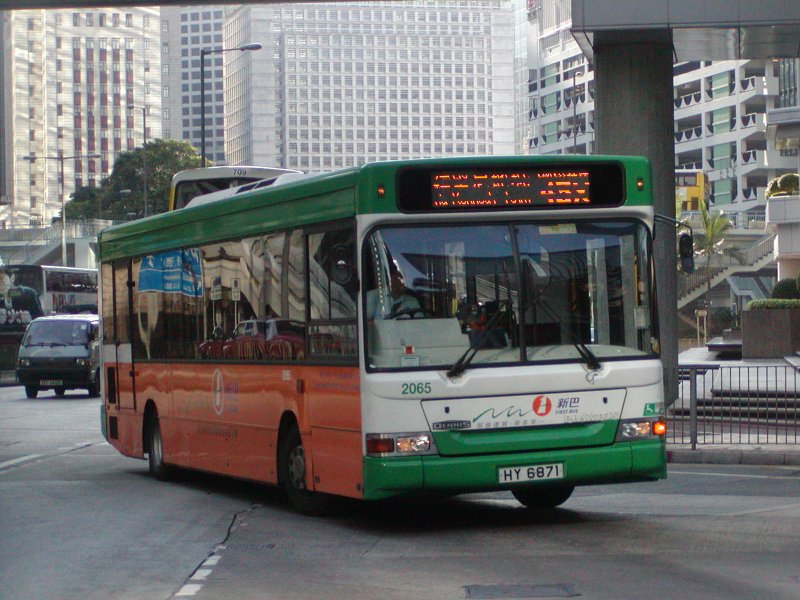 P1010016.jpg