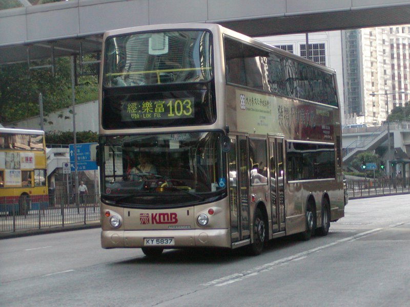 P1010029.jpg