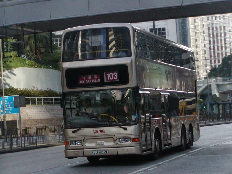 P1010017.jpg