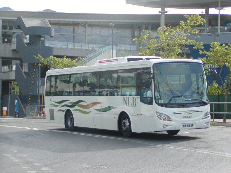 P1010002.jpg