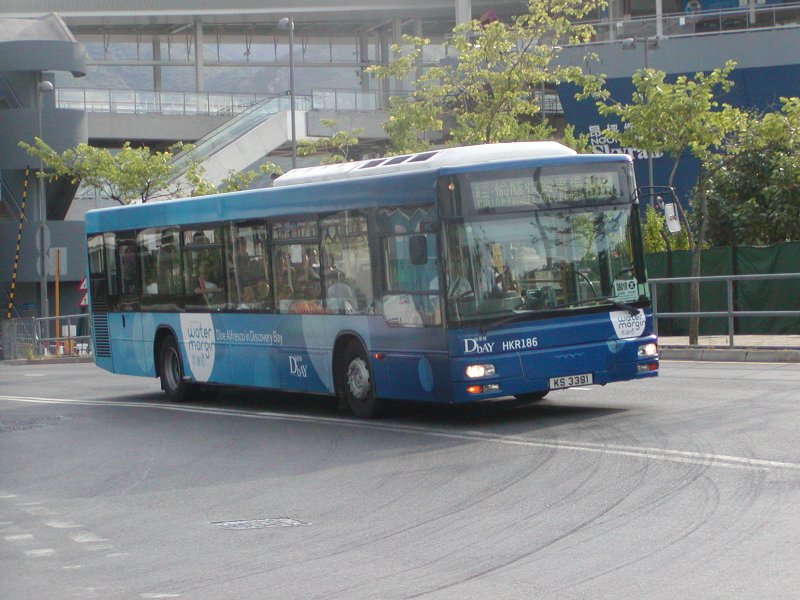 P1010007.jpg