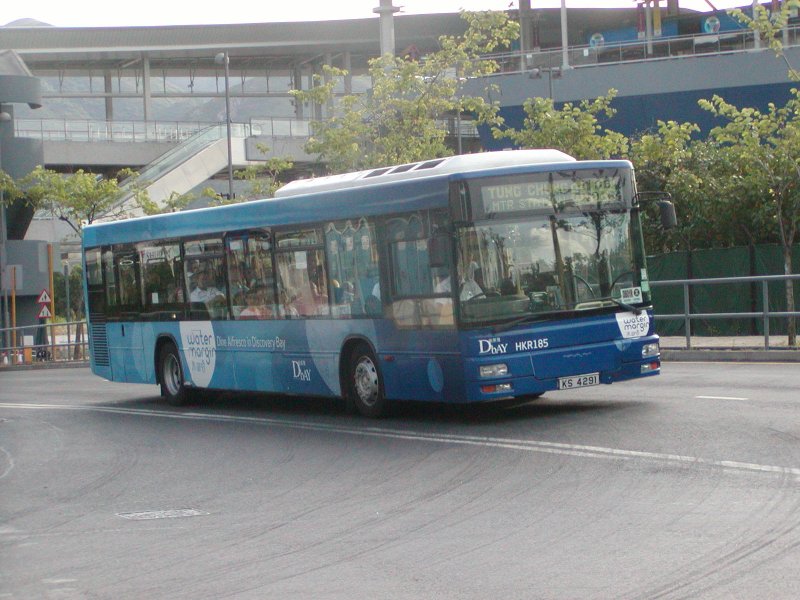 P1010016.jpg