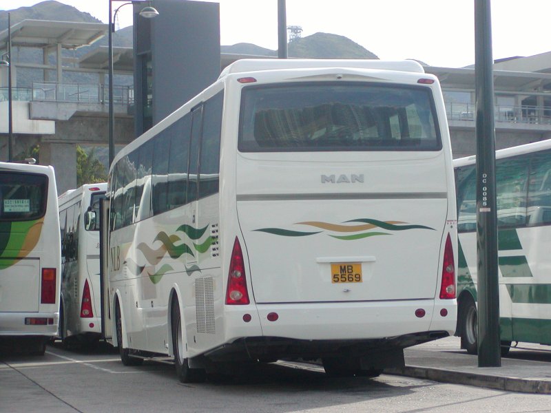 P1010001.jpg