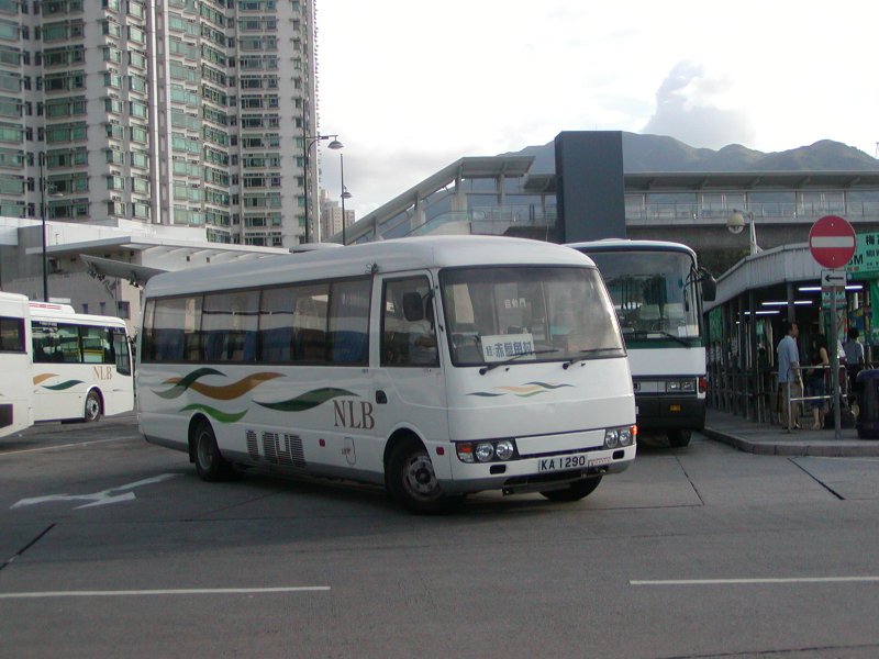 P1010018.jpg