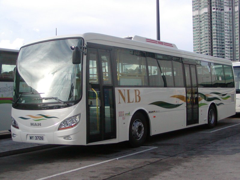 P1010023.jpg