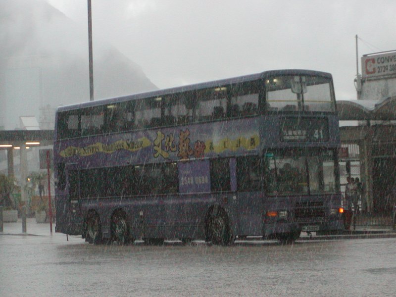 P1010027.jpg