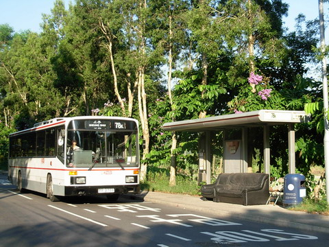 DSCN6595.JPG