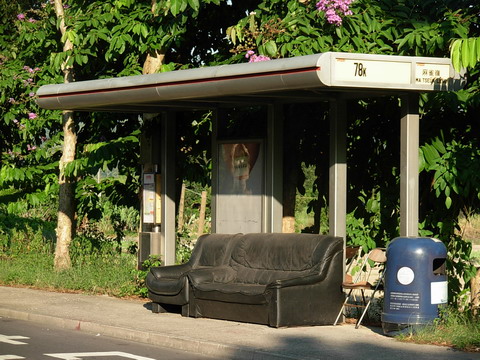 DSCN6597.JPG