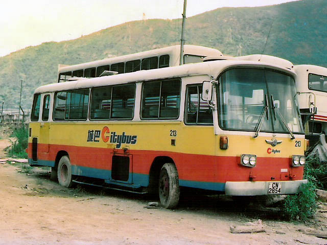 213.jpg